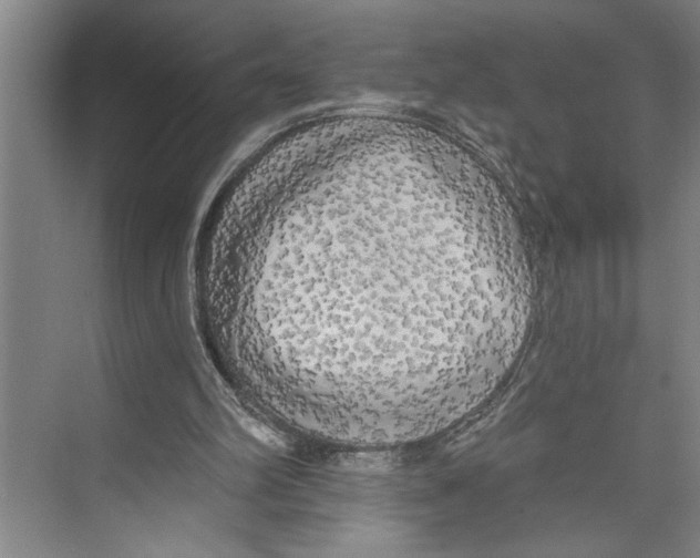 X0000071910102200608041419