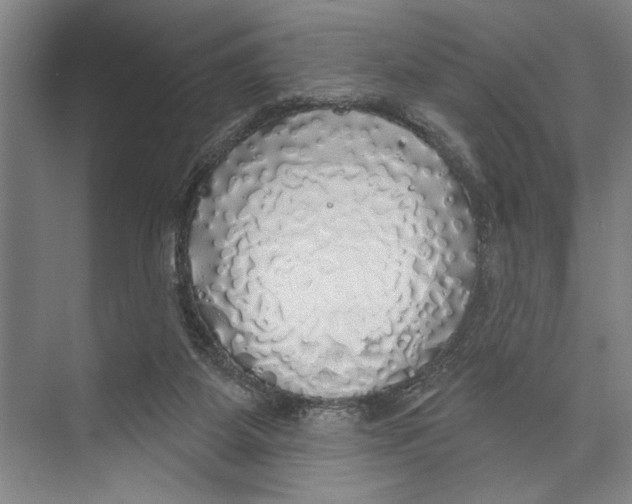 X0000071910115200608041419