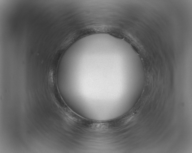X0000071910117200608041419