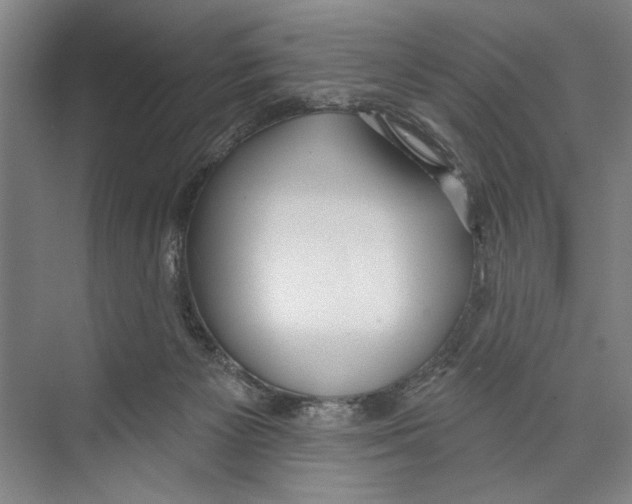 X0000071910125200608041419
