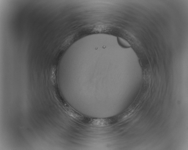X0000071910127200608041419