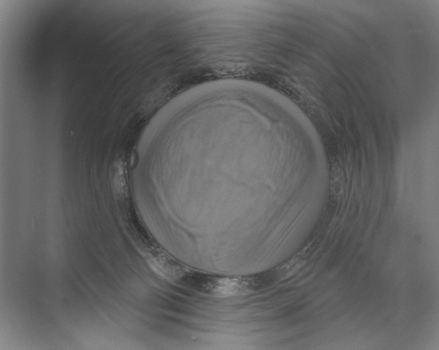X0000071910130200608041419