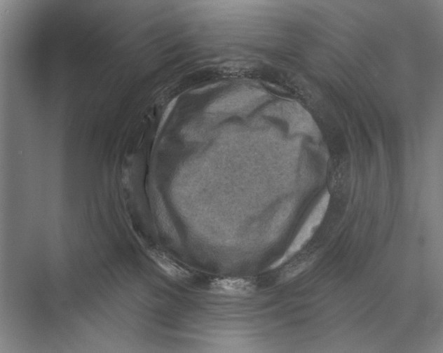 X0000071910137200608041419