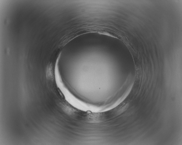 X0000071910143200608041418