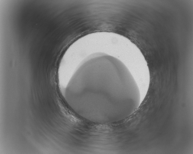 X0000071910146200608041418