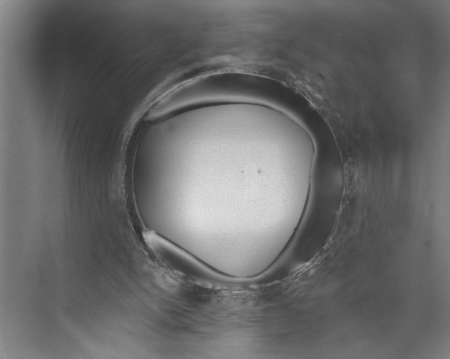 X0000071910150200608041418