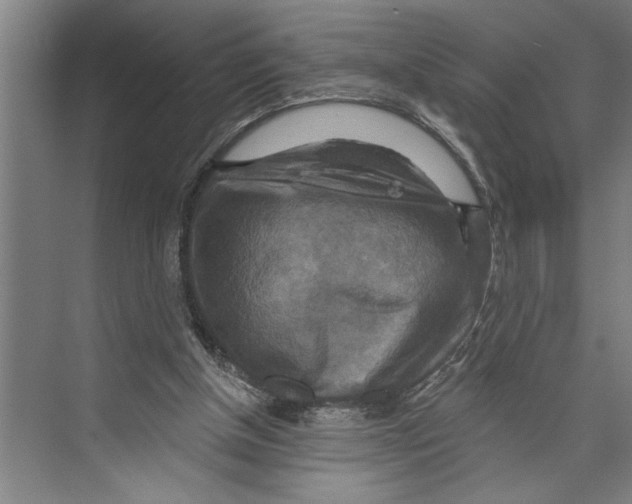 X0000071910154200608041418