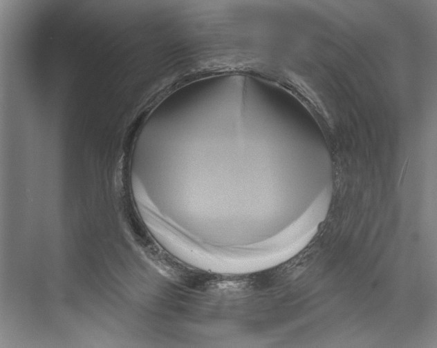 X0000071910163200608041418