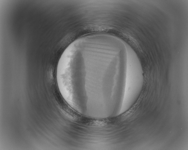 X0000071910166200608041418
