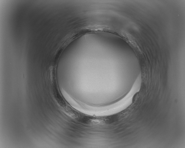 X0000071910167200608041418