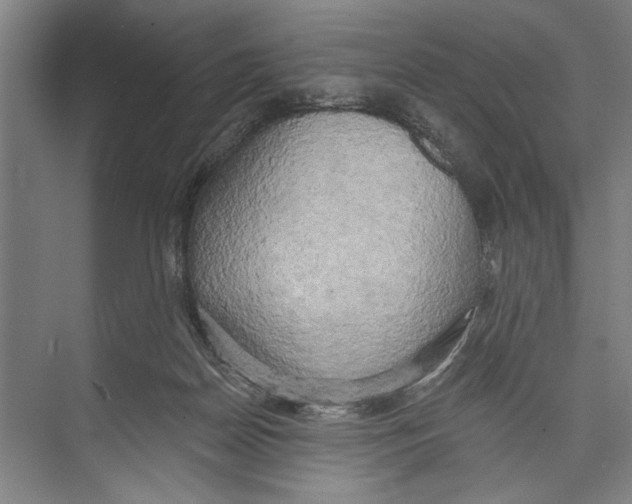 X0000071910170200608041418