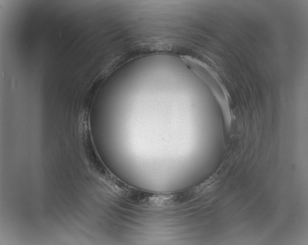 X0000071910172200608041418