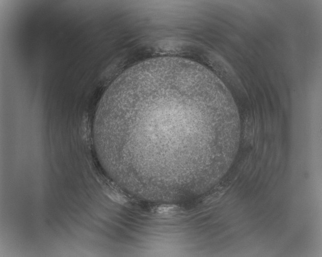 X0000071910173200608041418