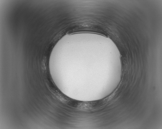 X0000071910174200608041418