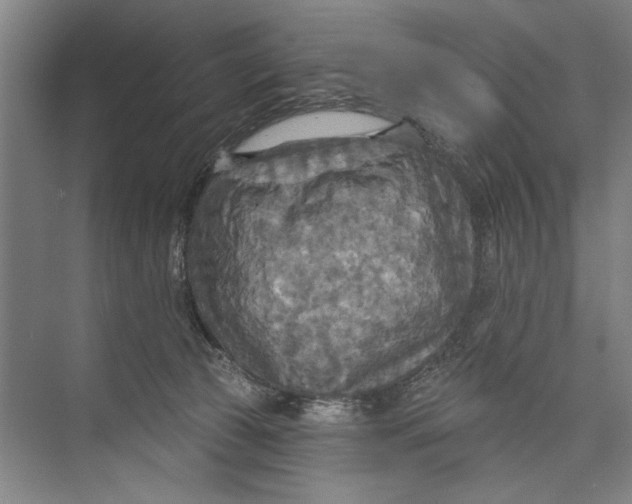 X0000071910177200608041418
