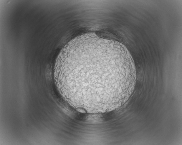 X0000071910179200608041418