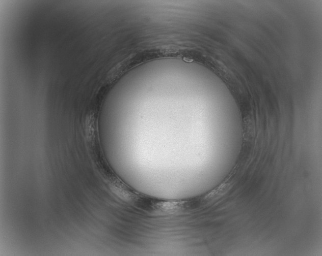 X0000071910184200608041418