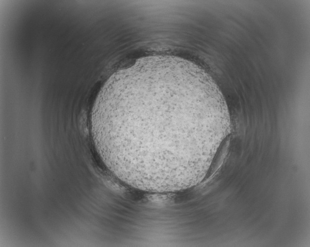 X0000071910187200608041418