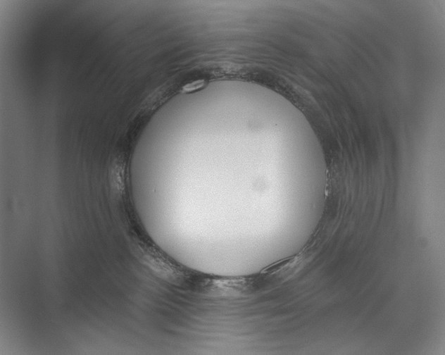 X0000071910188200608041418