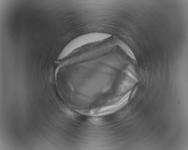 X0000071910189200608041418