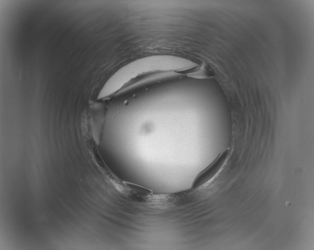 X0000071910192200608041418