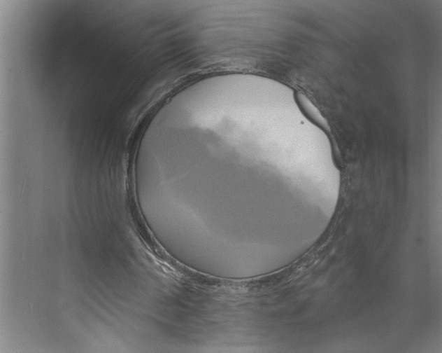 X0000071910194200608041418