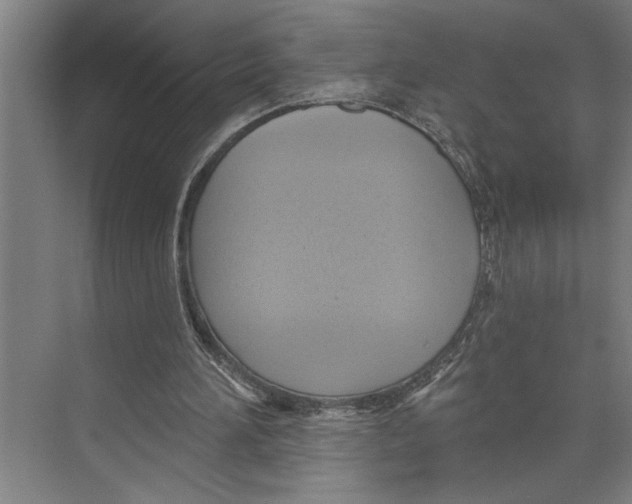 X0000071910196200608041418