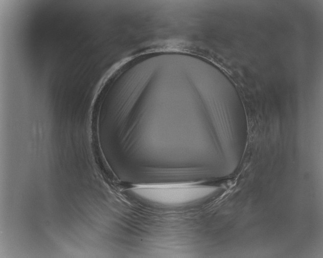 X0000071910200200608041417