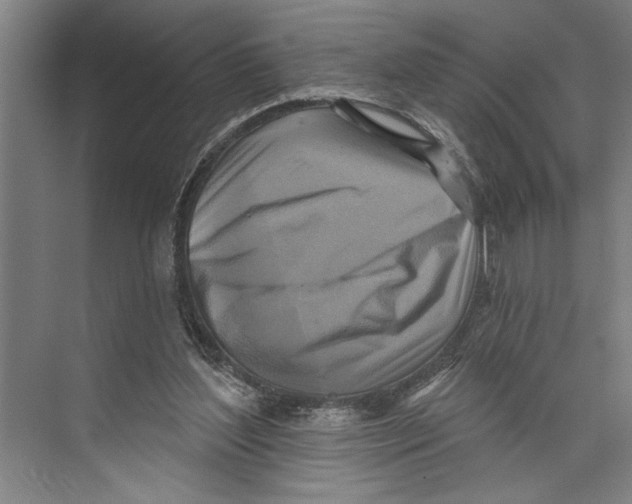X0000071910204200608041417