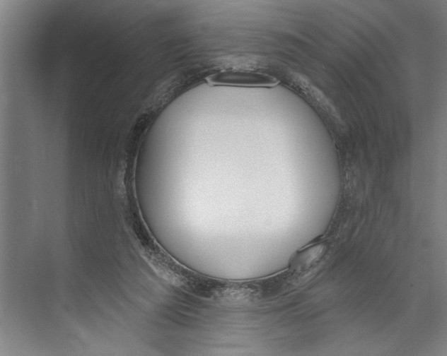 X0000071910209200608041417