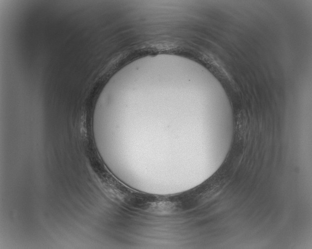 X0000071910212200608041417