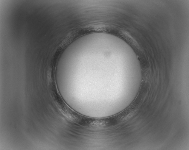 X0000071910213200608041417