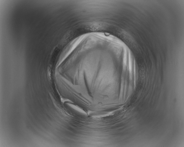 X0000071910214200608041417