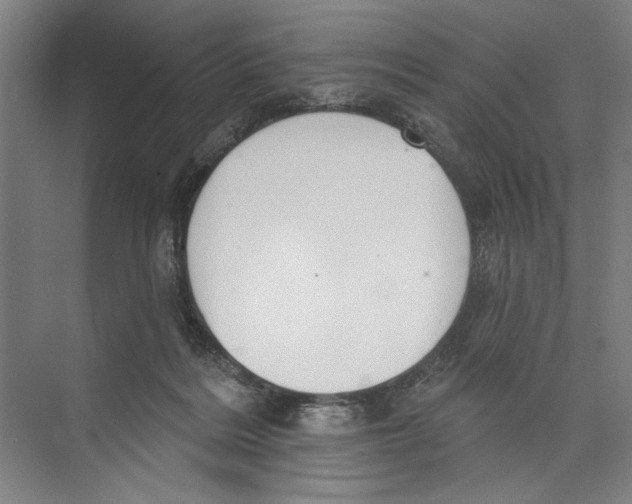 X0000071910220200608041417