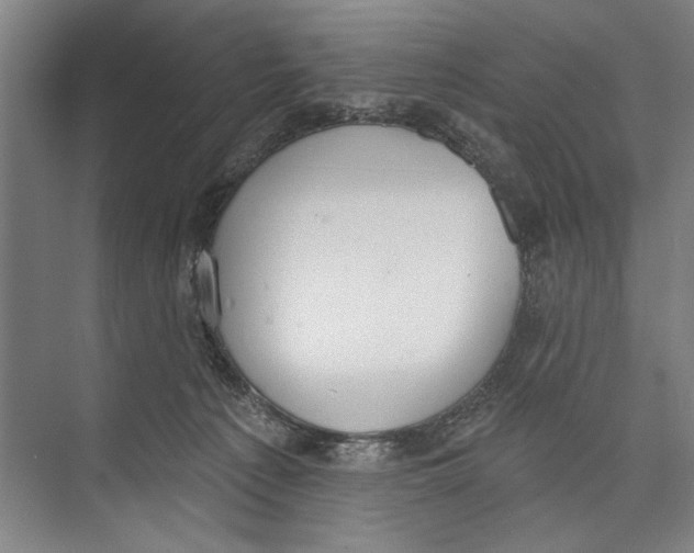 X0000071910225200608041417