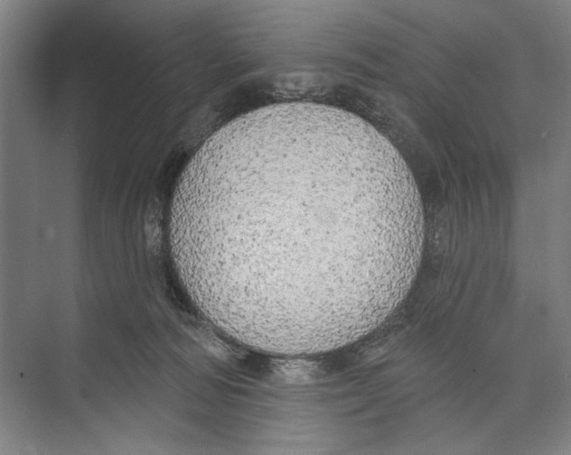 X0000071910226200608041417