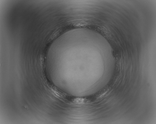 X0000071910227200608041417