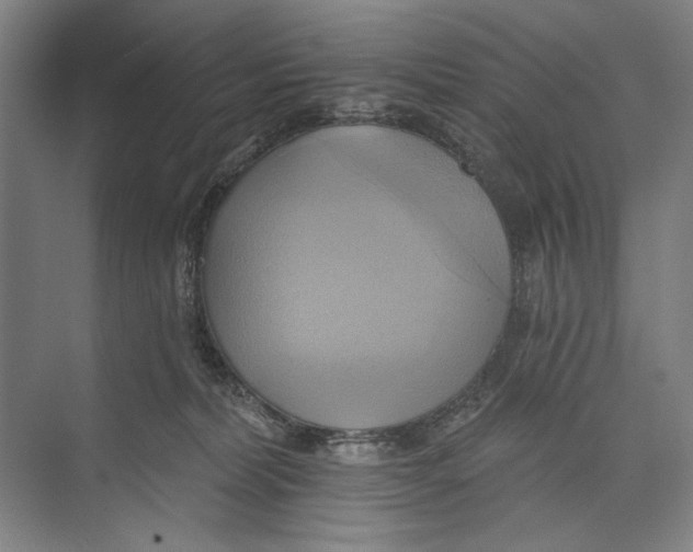 X0000071910228200608041417