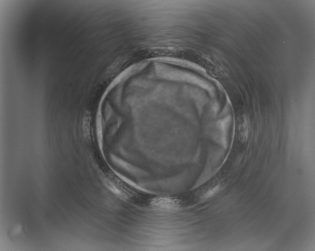 X0000071910231200608041417