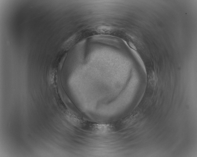 X0000071910233200608041417