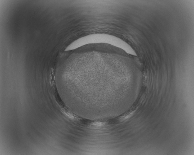 X0000071910237200608041417