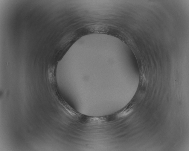 X0000071910239200608041417