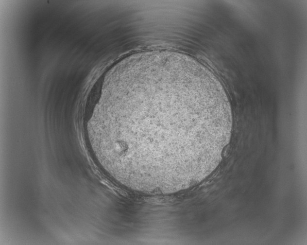 X0000071910241200608041416