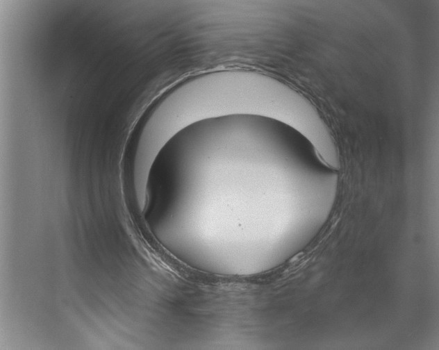 X0000071910242200608041416