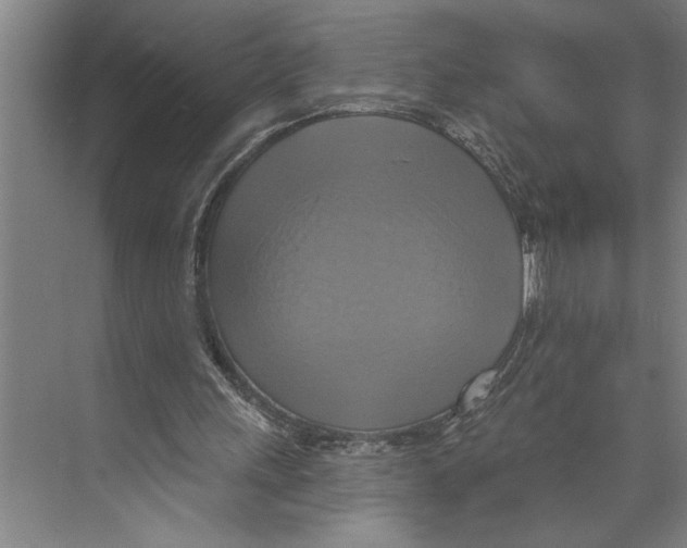 X0000071910243200608041416