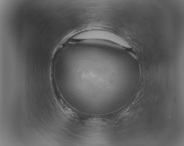 X0000071910244200608041416