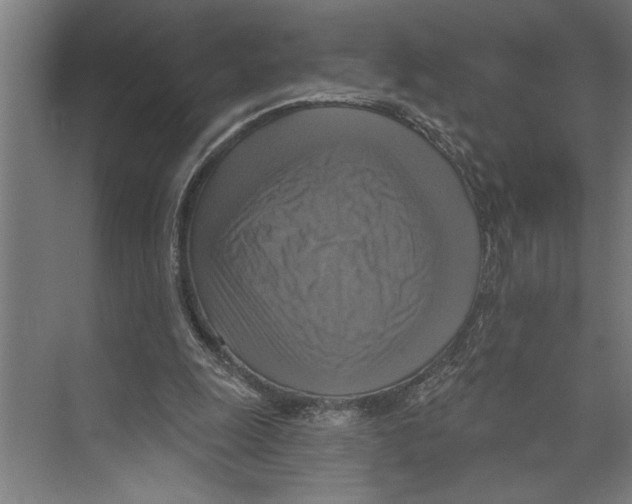 X0000071910247200608041416