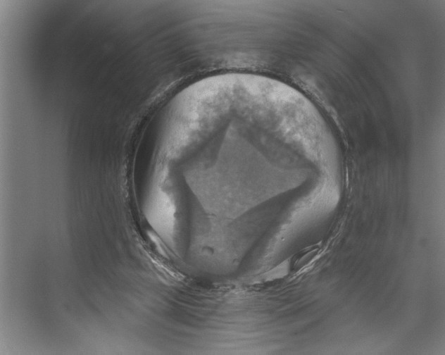 X0000071910249200608041416
