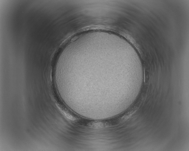 X0000071910253200608041416