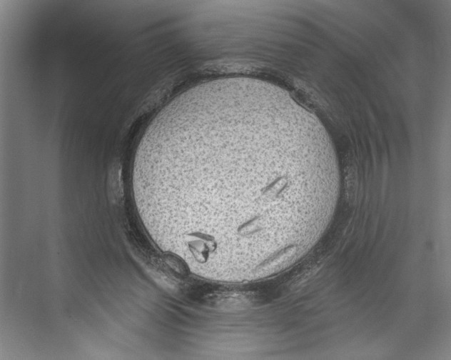 X0000071910254200608041416